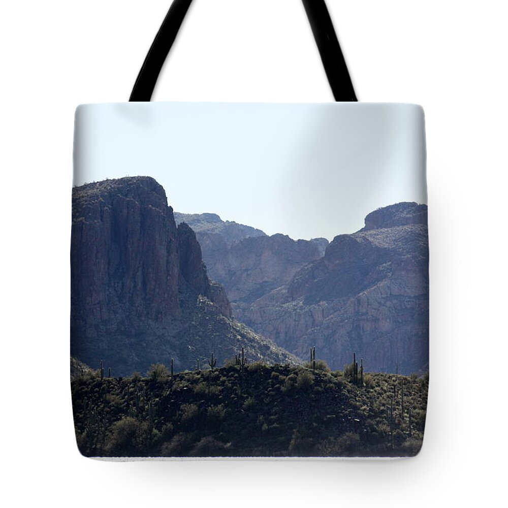 Sagouro Tote Bag featuring the photograph Sagouro Lake Arizona by Kim Galluzzo Wozniak
