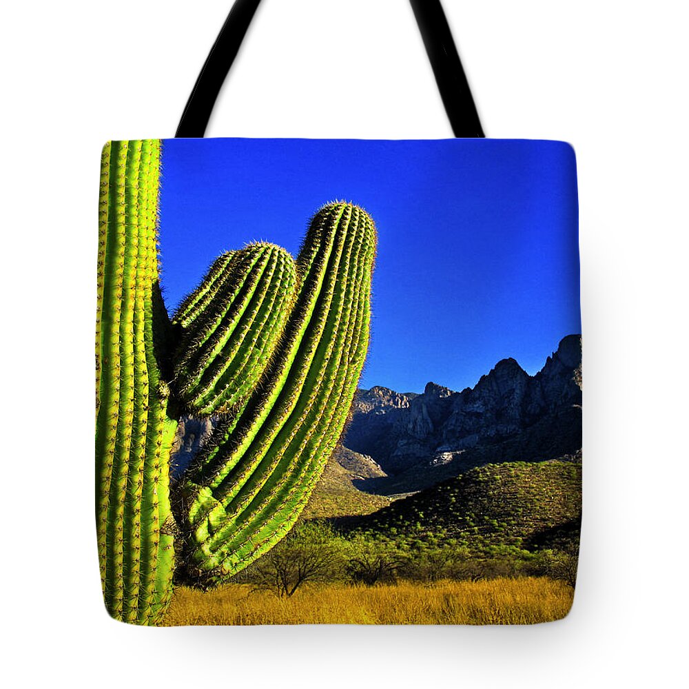 Cactus Tote Bag featuring the photograph Saguaro and Catalina Mountains by Jim Moore