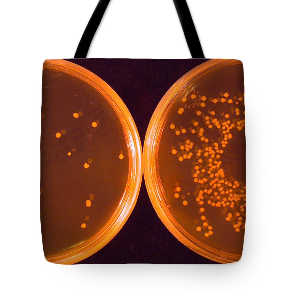 Salmonella Tote Bag featuring the photograph Salmonella by Science Source