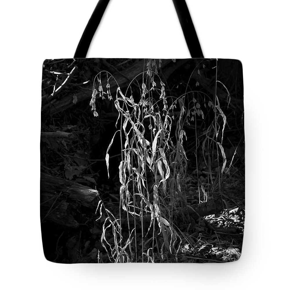 Black And White Tote Bag featuring the photograph Saw Oats in River Flood Area by Michael Dougherty