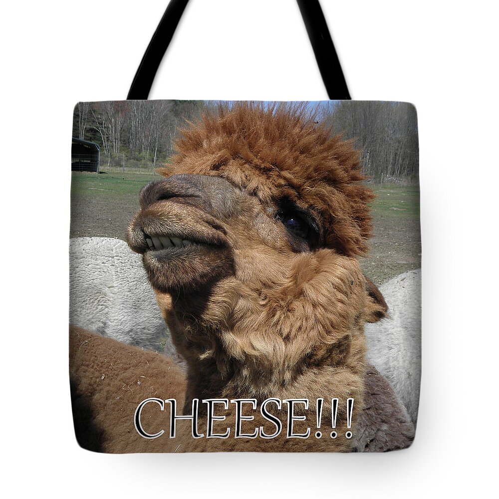 Alpaca Tote Bag featuring the photograph Say cheese by Kim Galluzzo
