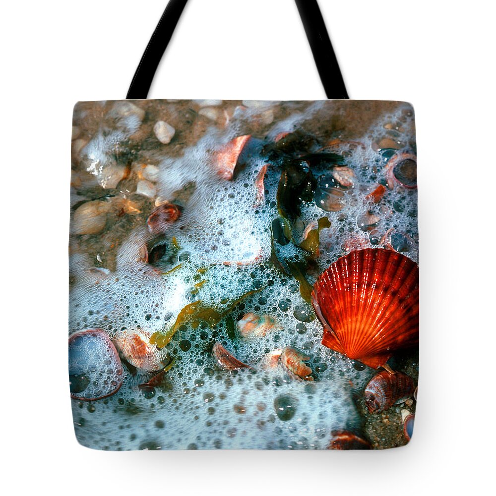 Nature Tote Bag featuring the photograph Scallop and Seaweed 11C by Gerry Gantt