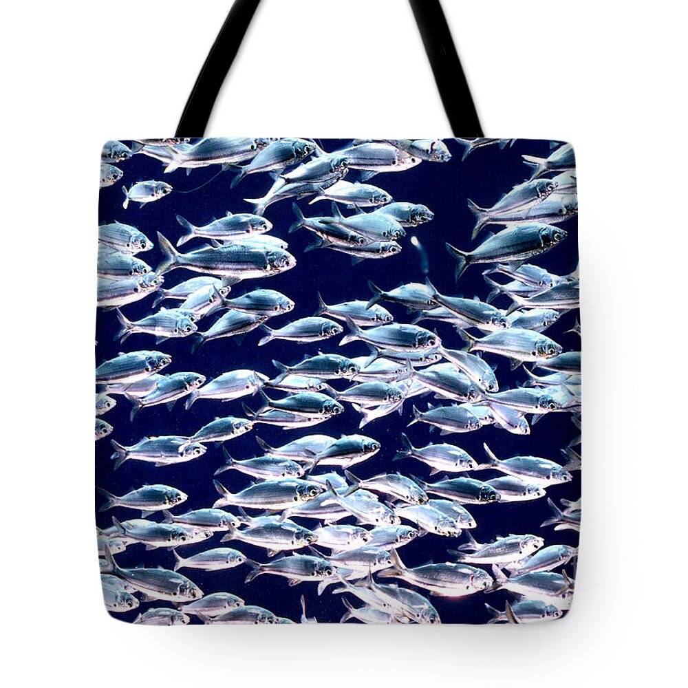 Horizontal Tote Bag featuring the photograph School of Threadfin Shad by Tom McHugh and Photo Researchers