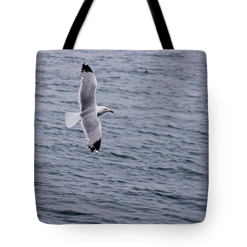 Ocean Animal Tote Bags