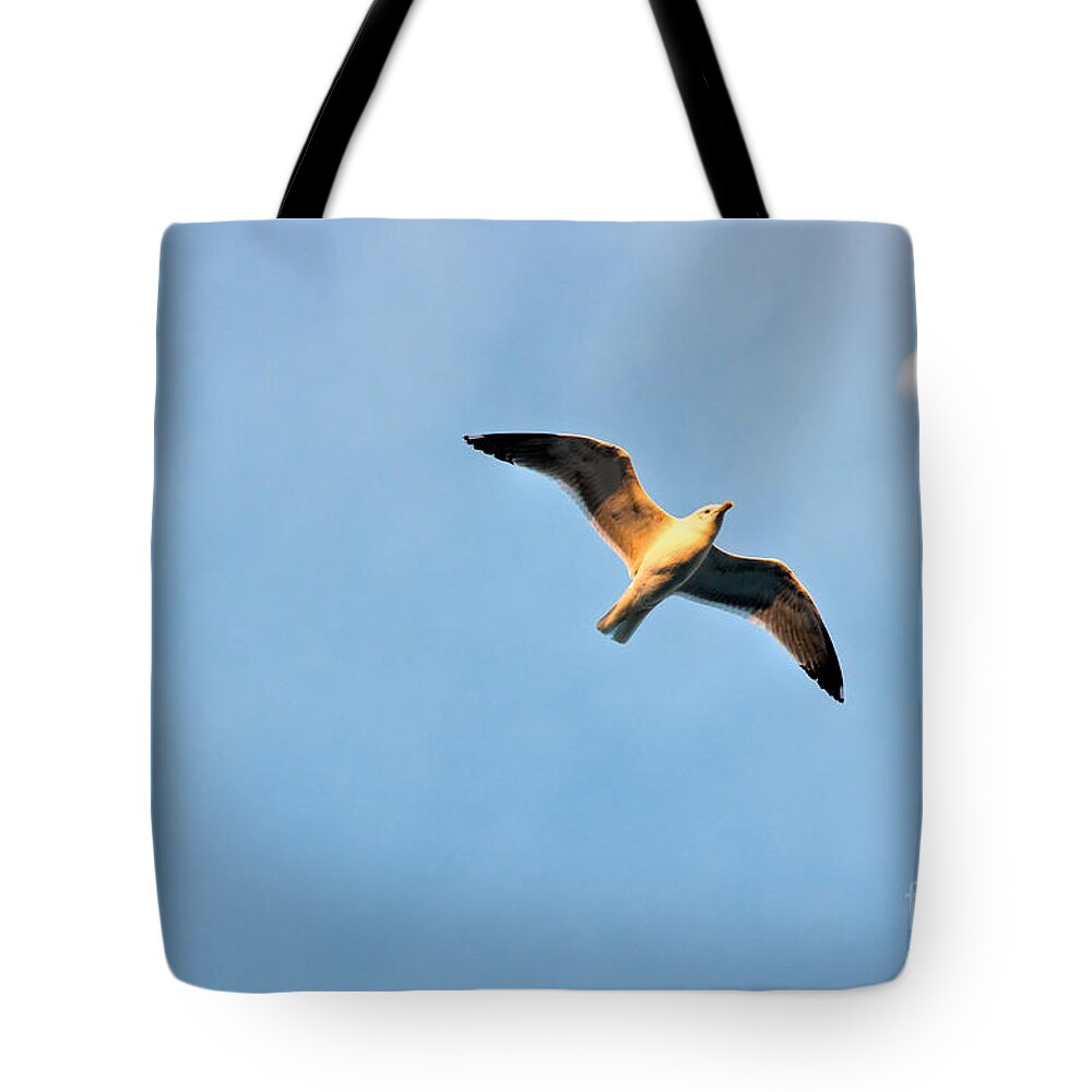 Sunset Tote Bag featuring the photograph Seagull by Luciano Mortula