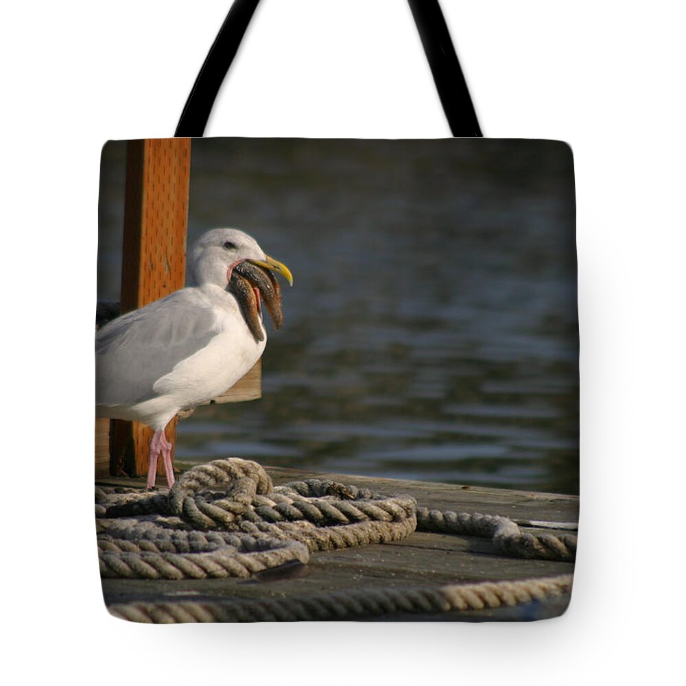 Seagull On Dock With Rope Tote Bag featuring the photograph Seagull Swallows Starfish by Kym Backland