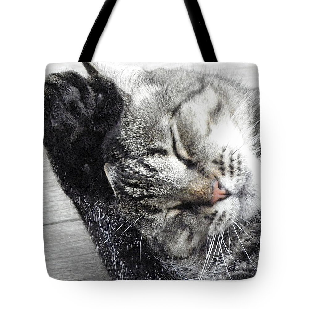 Cat Tote Bag featuring the photograph see Mom I do clean my ears by Kim Galluzzo