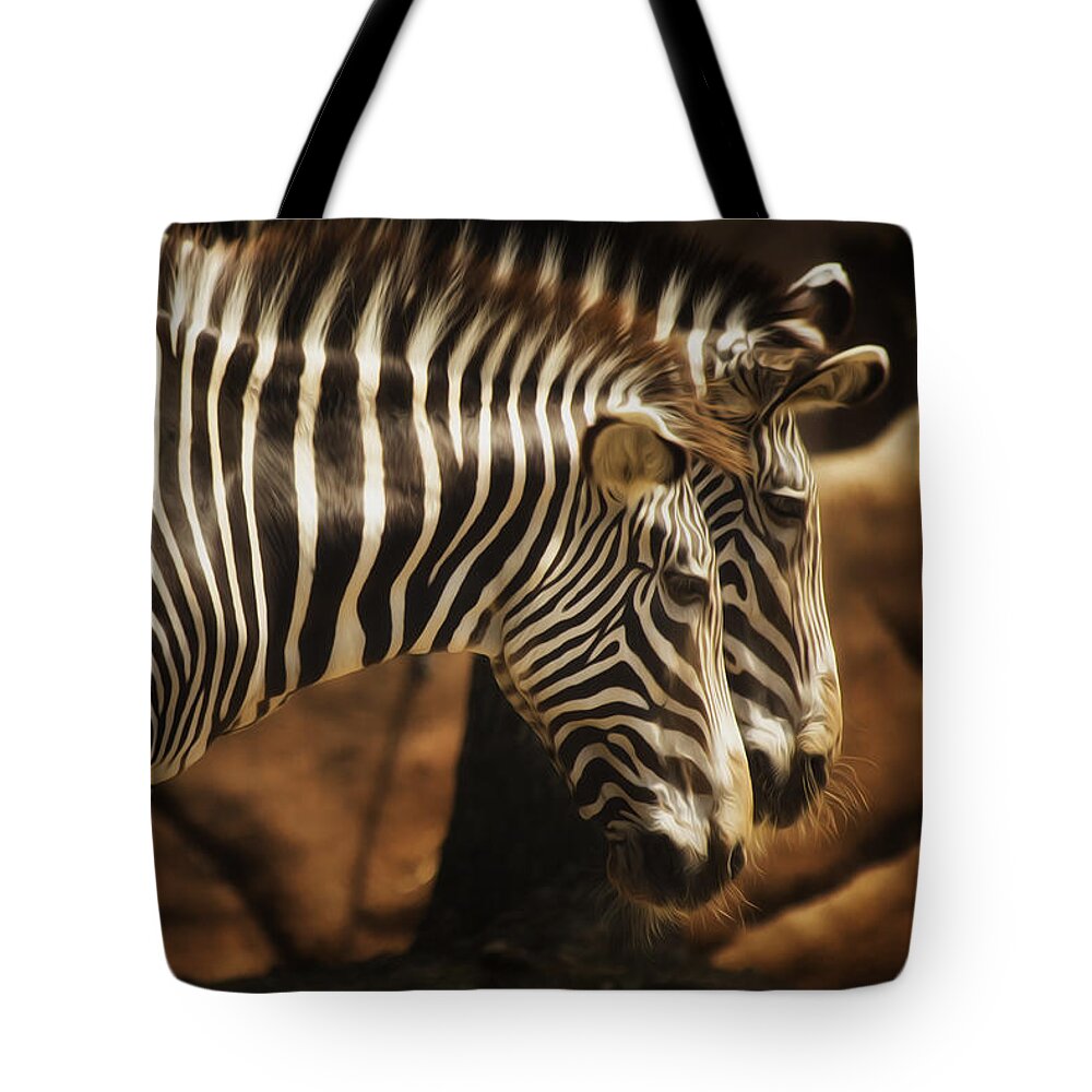 Saint Louis Tote Bag featuring the photograph Seeing Double by Linda Tiepelman