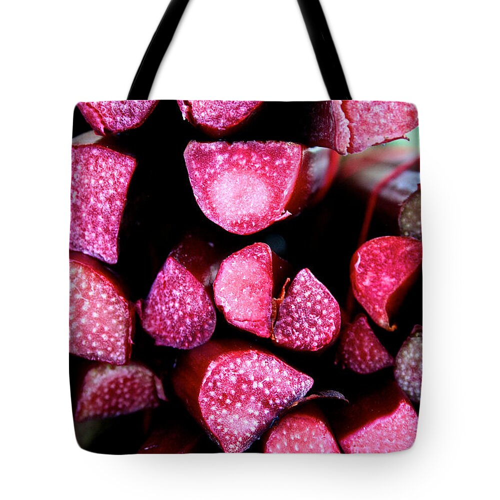 Food Tote Bag featuring the photograph Seeking Pie Crust by Susan Herber
