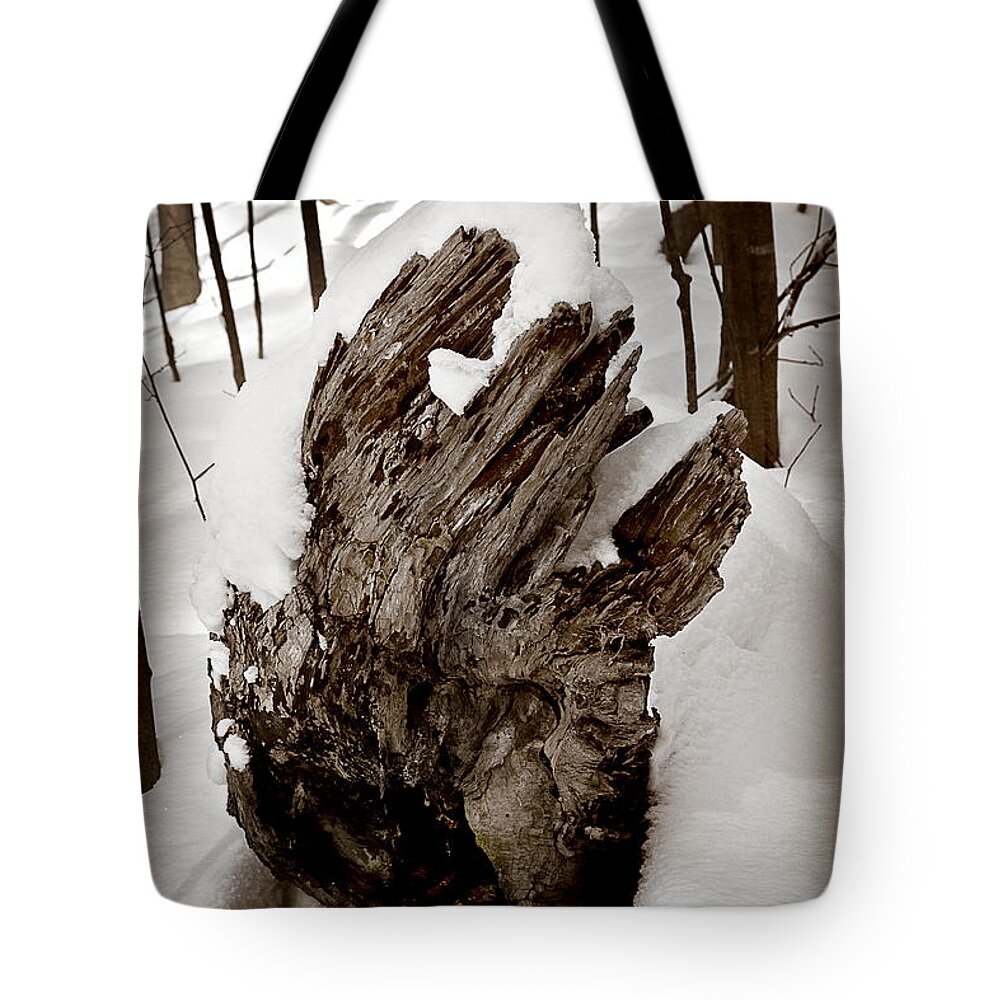  Tote Bag featuring the photograph Sep23 by Burney Lieberman