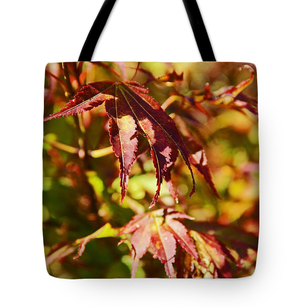 Autumn Tote Bag featuring the photograph Shades of Autumn by Kerri Ligatich