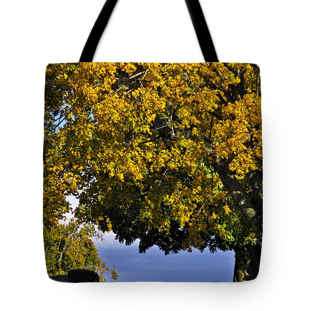 Cemetery Tote Bag featuring the photograph Shadow On The Edge by Trish Tritz