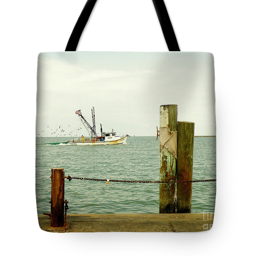 Feeding Sea Gulls Tote Bag featuring the photograph Share The Wealth by Joe Pratt