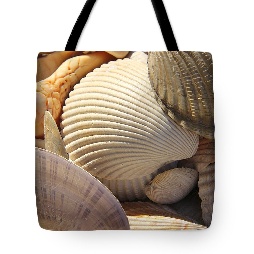 Sea Shells Tote Bag featuring the photograph Shells 1 by Mike McGlothlen