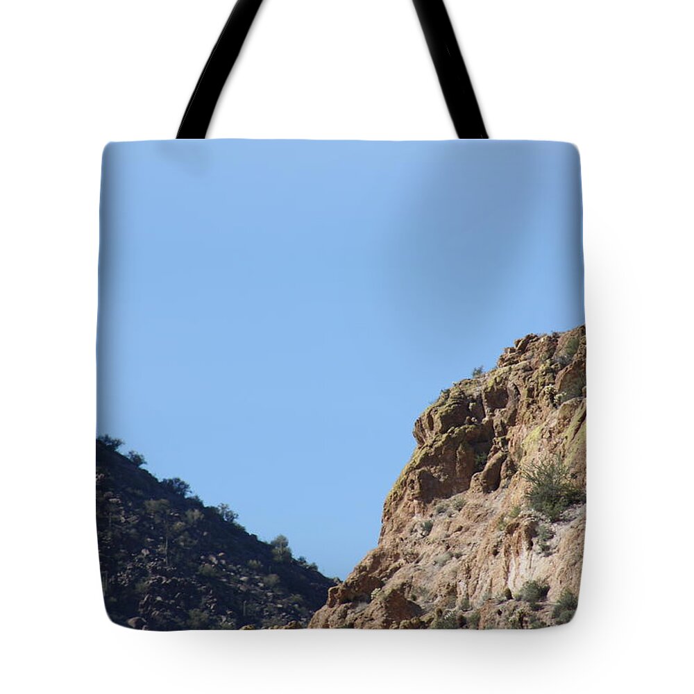 Sagouro Tote Bag featuring the photograph Side by Side but different by Kim Galluzzo Wozniak