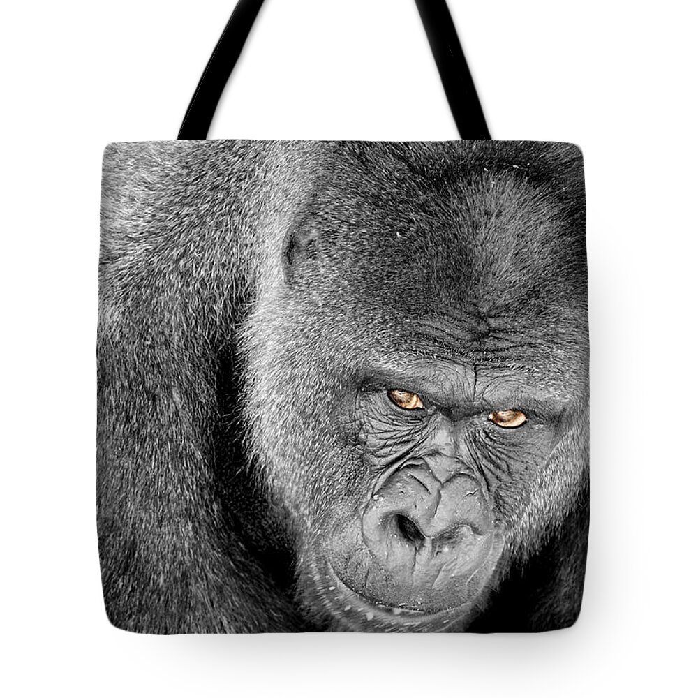 Ape Tote Bag featuring the photograph Silverback Staredown by Jason Politte