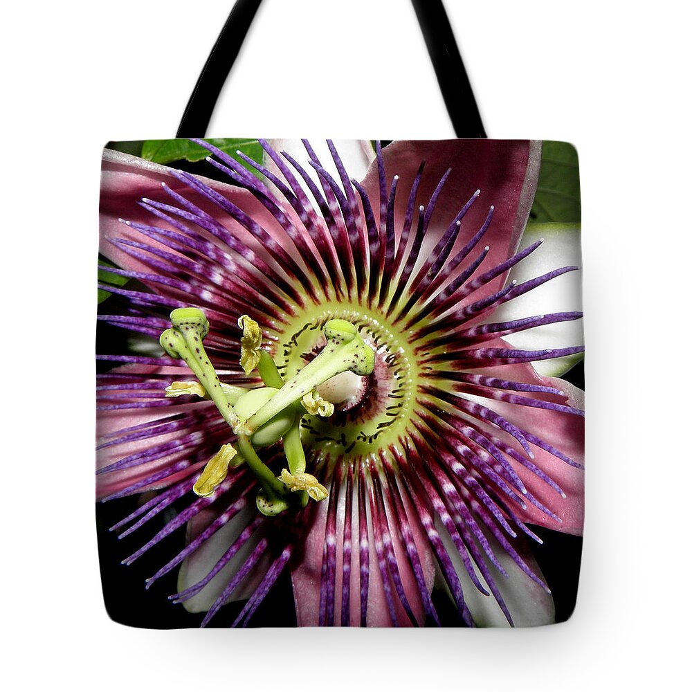 Passion Tote Bag featuring the photograph Simply Magical by Kim Galluzzo