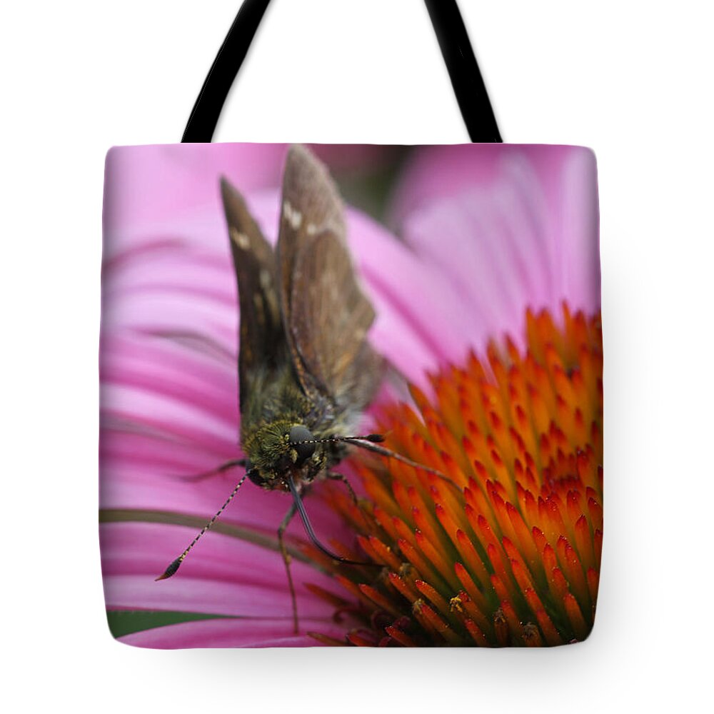 Moth Tote Bag featuring the photograph Skipper Butterfly by Juergen Roth