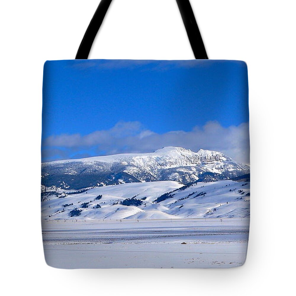 Blue Sky Tote Bag featuring the photograph Sleeping Indian by Eric Tressler