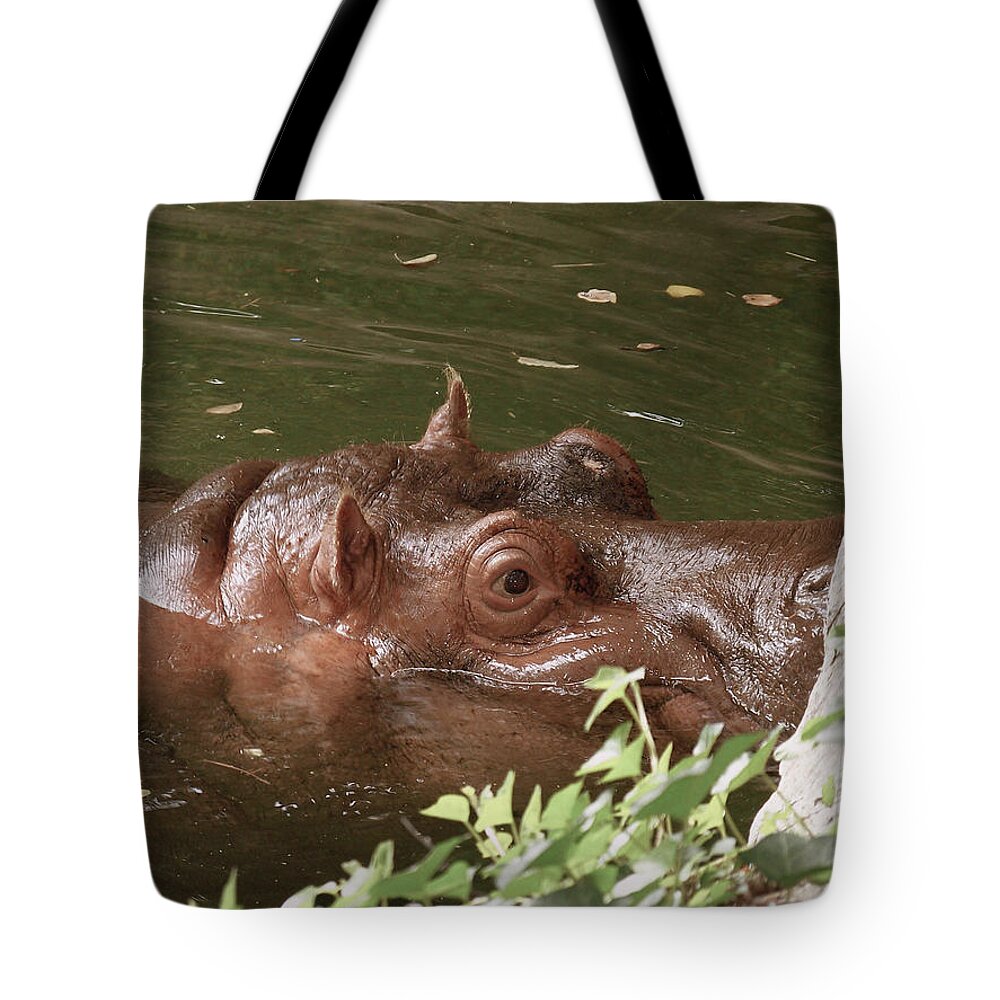 Hippopotamus Tote Bag featuring the photograph Slippery When Wet by Trish Tritz