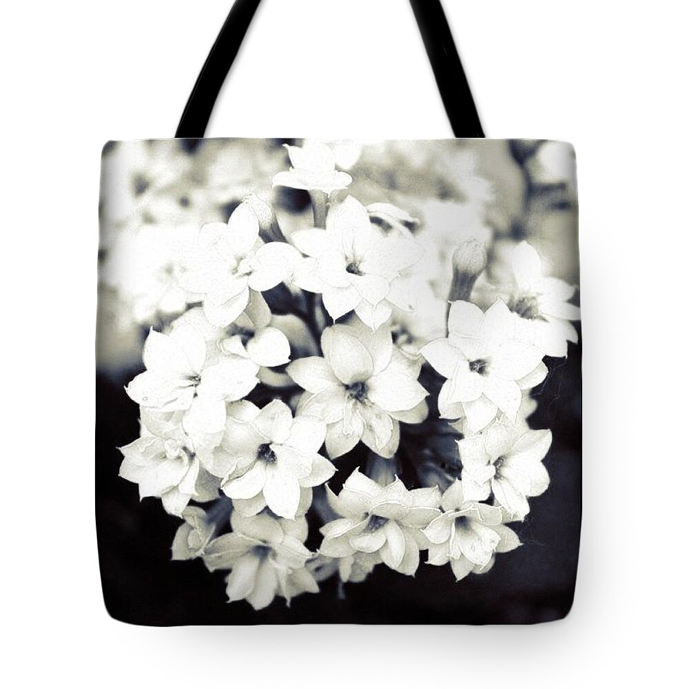 Black And White Tote Bag featuring the photograph small flowers in BW by Justin Connor