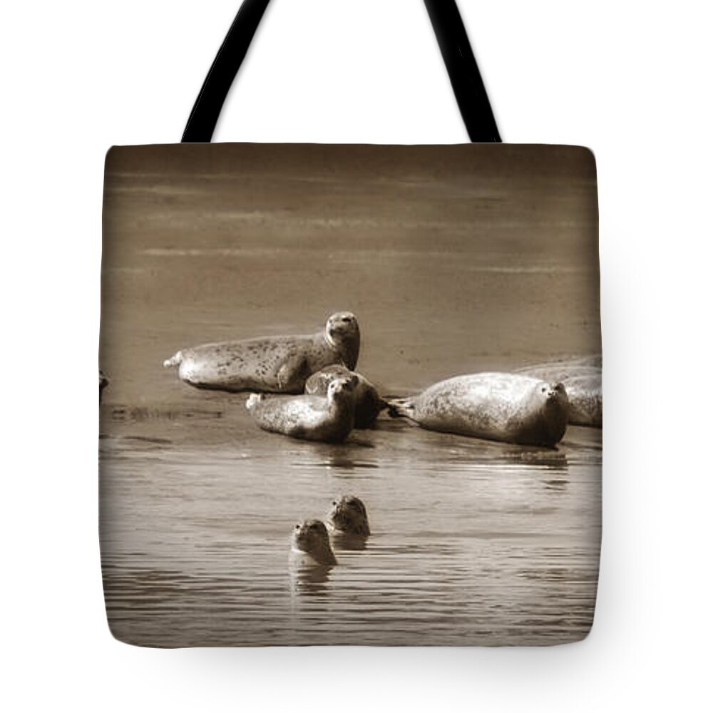 Sea Lion Tote Bag featuring the photograph Smile Pretty For The Camera by Donna Blackhall