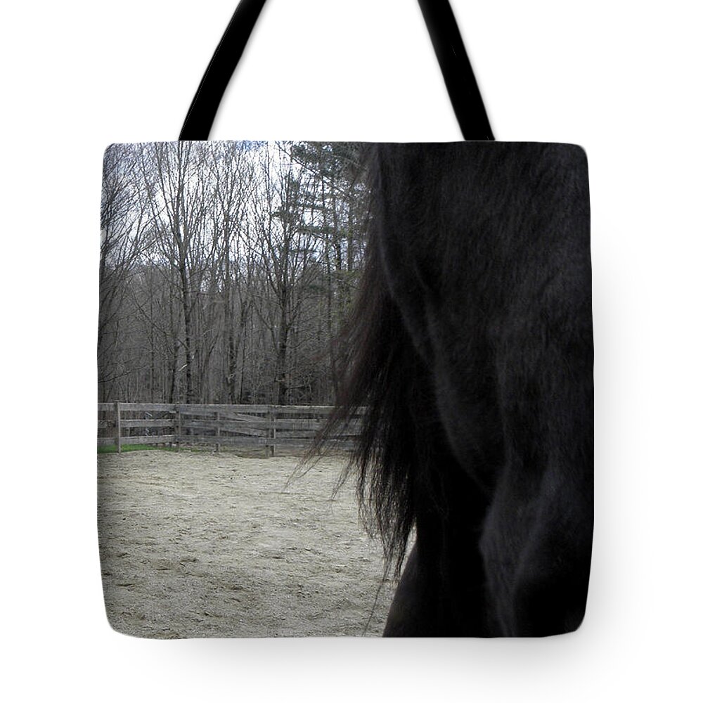 Friesians Tote Bag featuring the photograph Sneaking A Peak by Kim Galluzzo