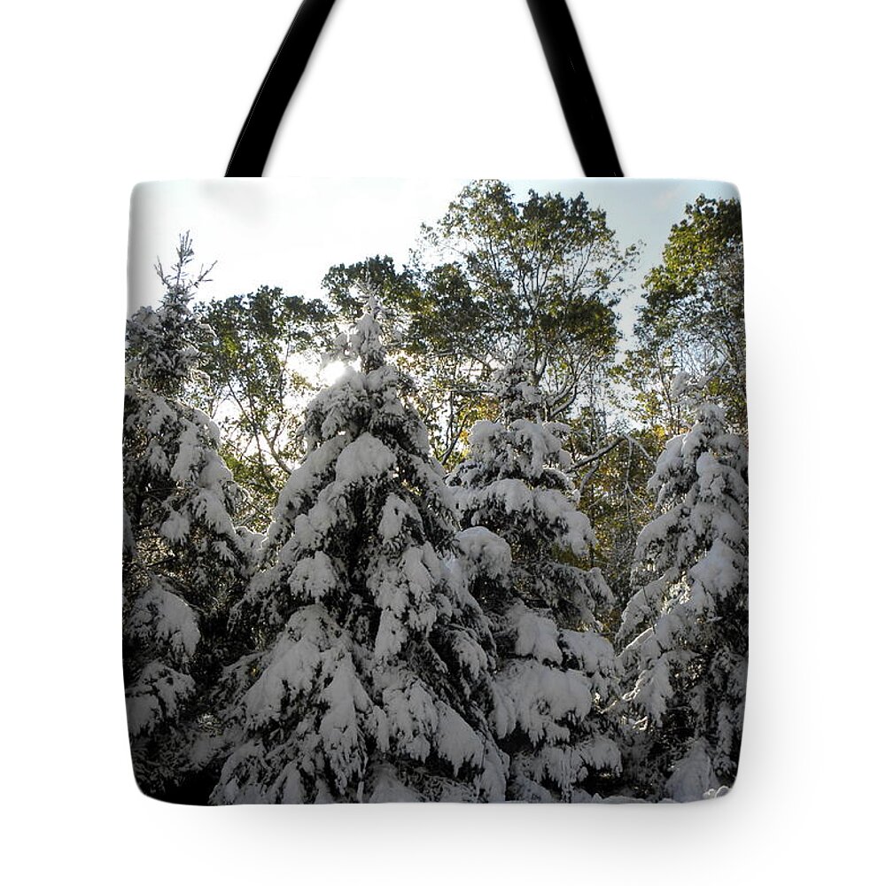 Snow Tote Bag featuring the photograph Snow Bound by Kim Galluzzo