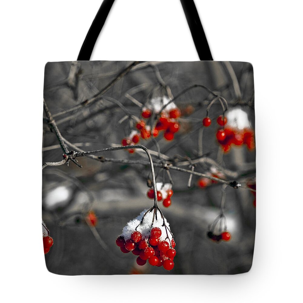 Usa Tote Bag featuring the photograph Snow covered winter red berries by LeeAnn McLaneGoetz McLaneGoetzStudioLLCcom