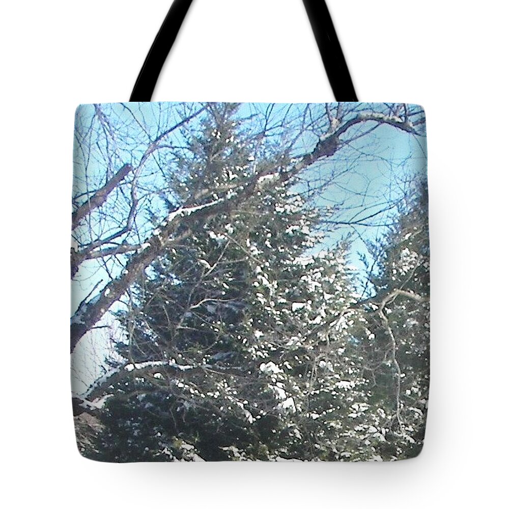 Landscape Tote Bag featuring the photograph Snow Sprinkled Pine by Pamela Hyde Wilson