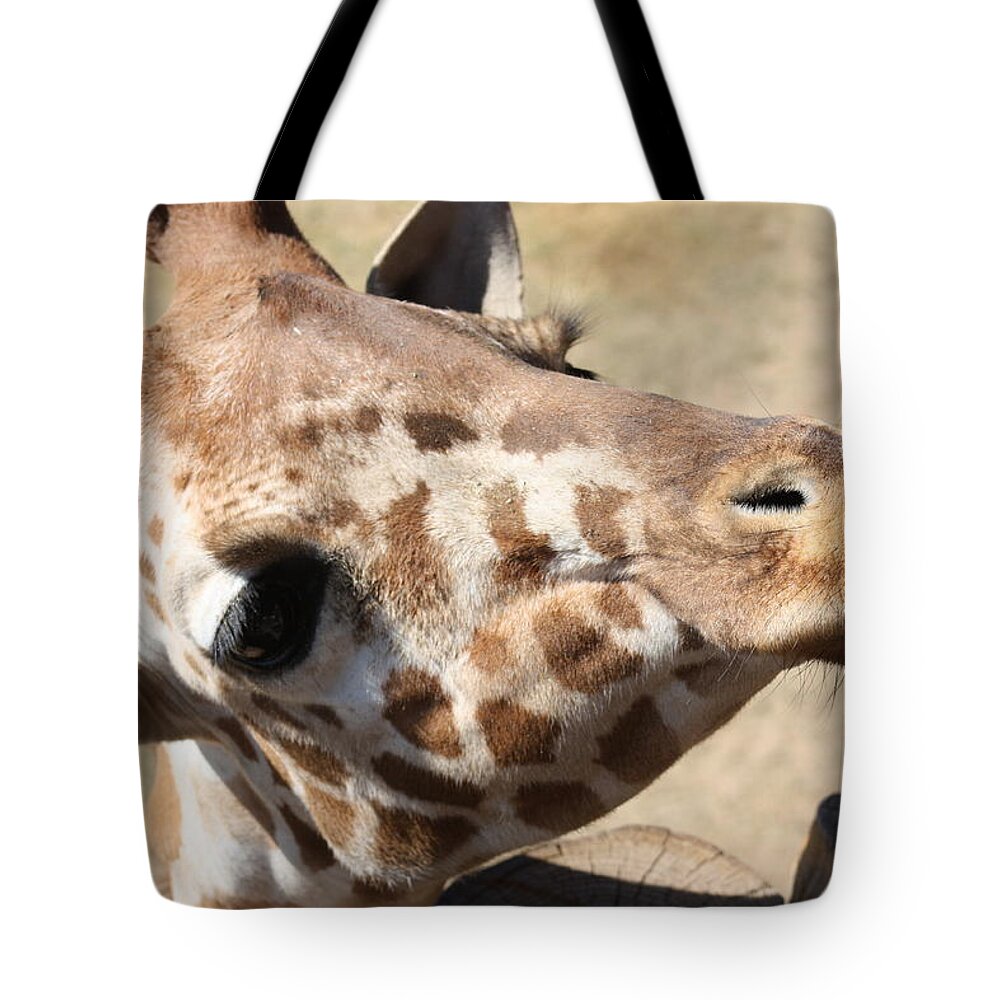 Giraffe Tote Bag featuring the photograph So Cute by Kim Galluzzo Wozniak