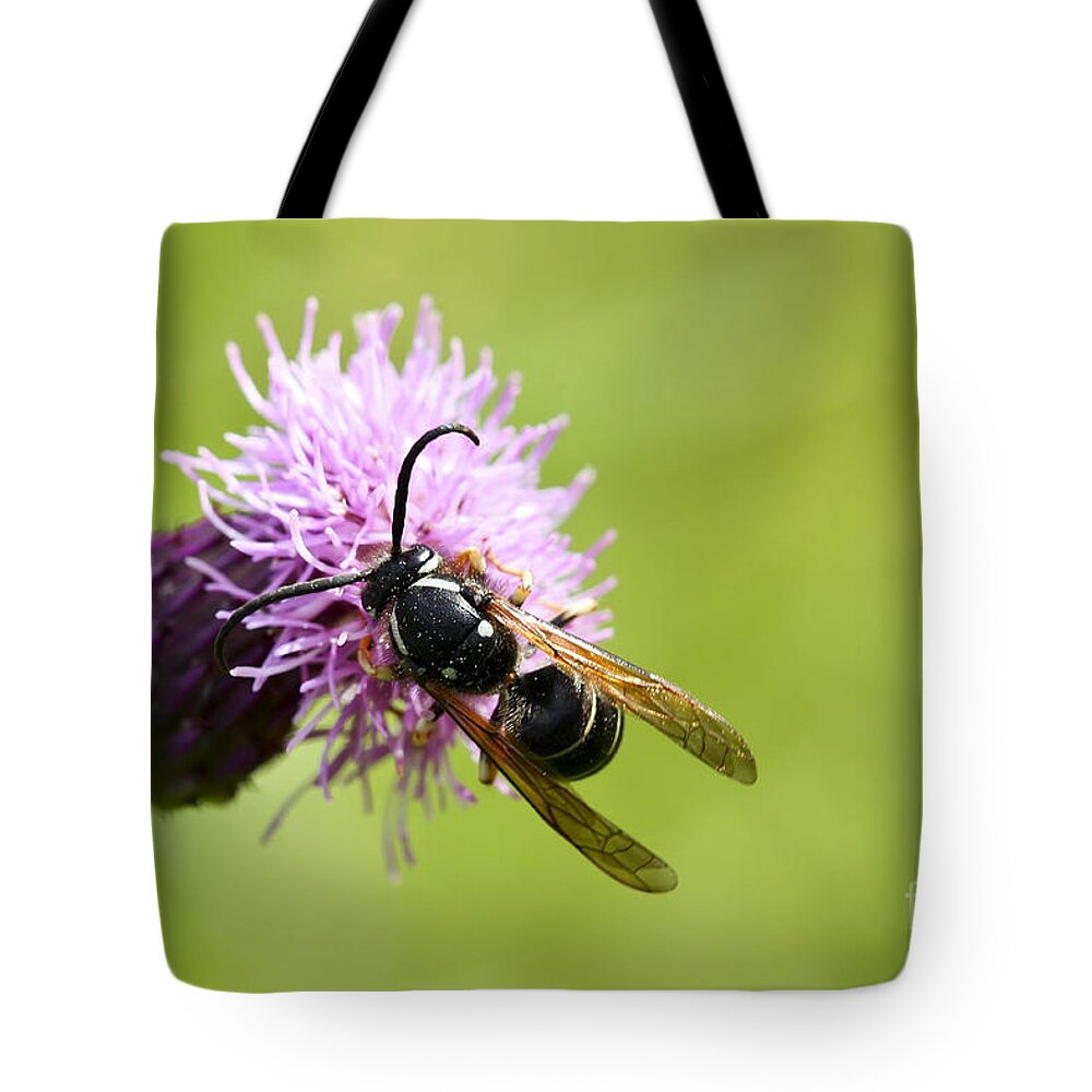 Flower Tote Bag featuring the photograph So Yummy by Teresa Zieba
