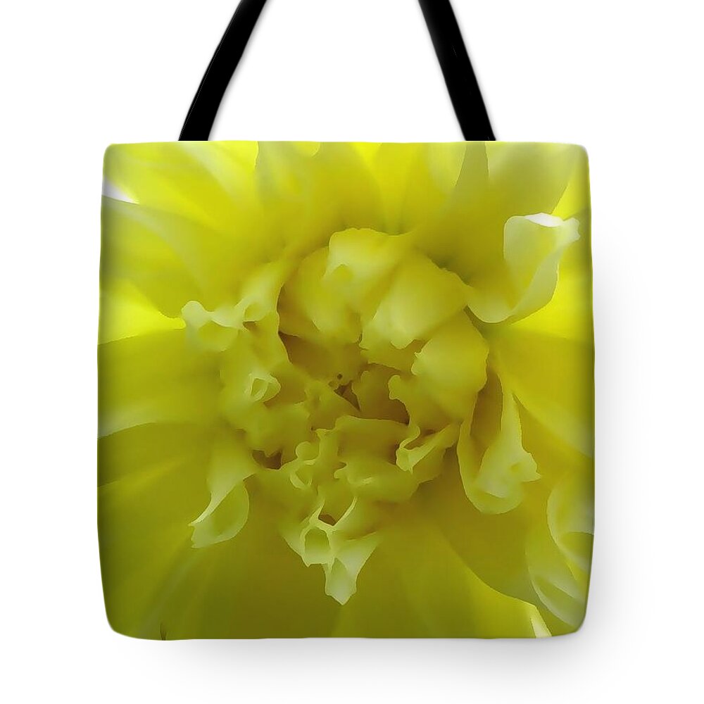 Yellow Tote Bag featuring the photograph Soft Mellow Yellow by Kim Galluzzo
