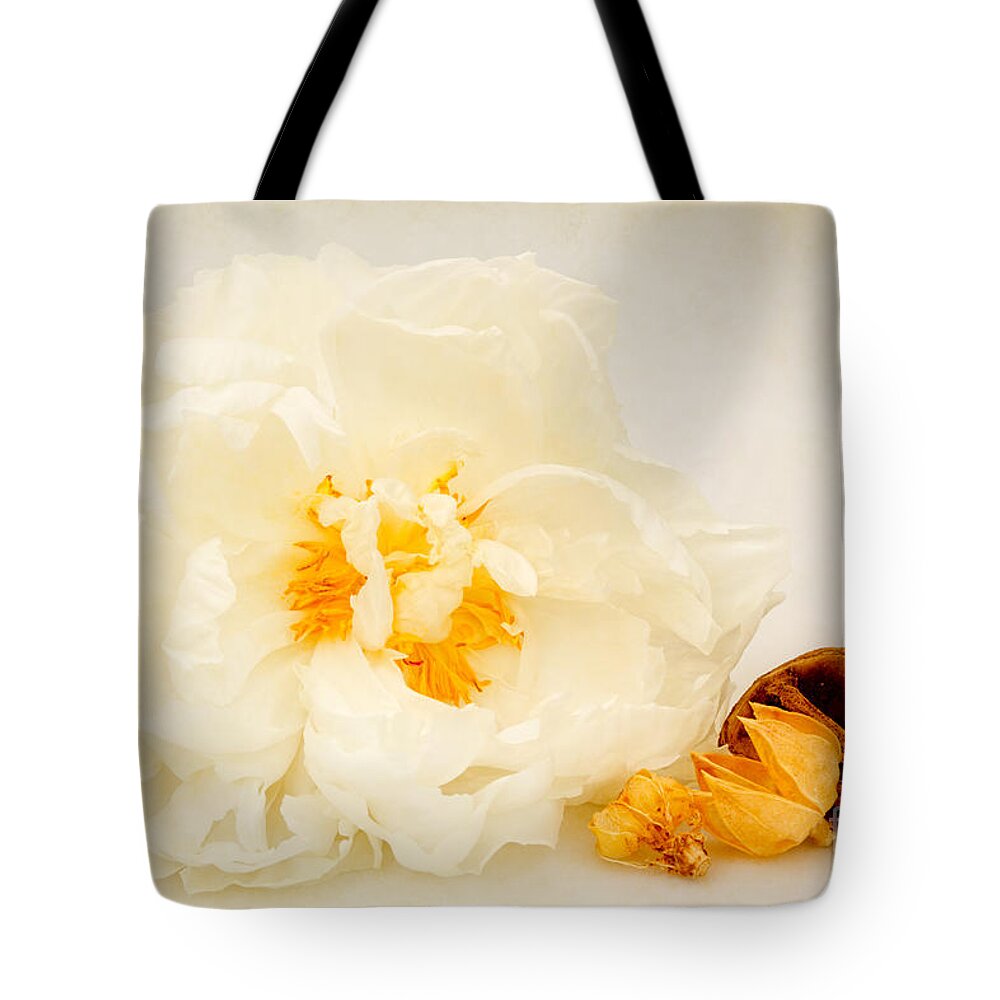 Peony Tote Bag featuring the photograph Soft White Peony by Ann Garrett