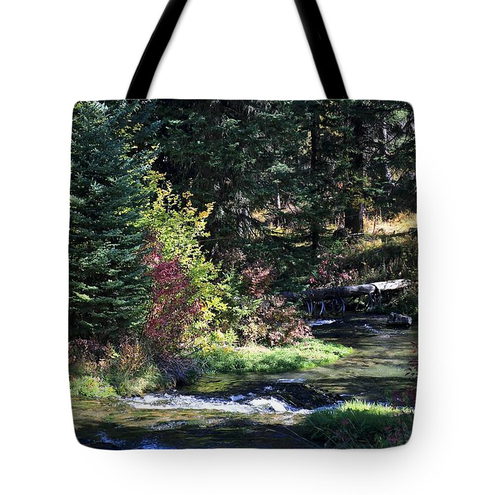 Landscape Tote Bag featuring the photograph Spearfish Canyon by Donald J Gray