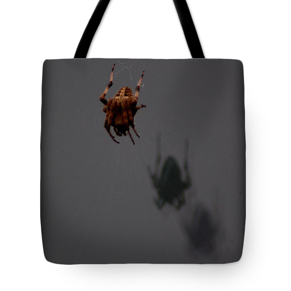 Usa Tote Bag featuring the photograph Spider Shadows by LeeAnn McLaneGoetz McLaneGoetzStudioLLCcom