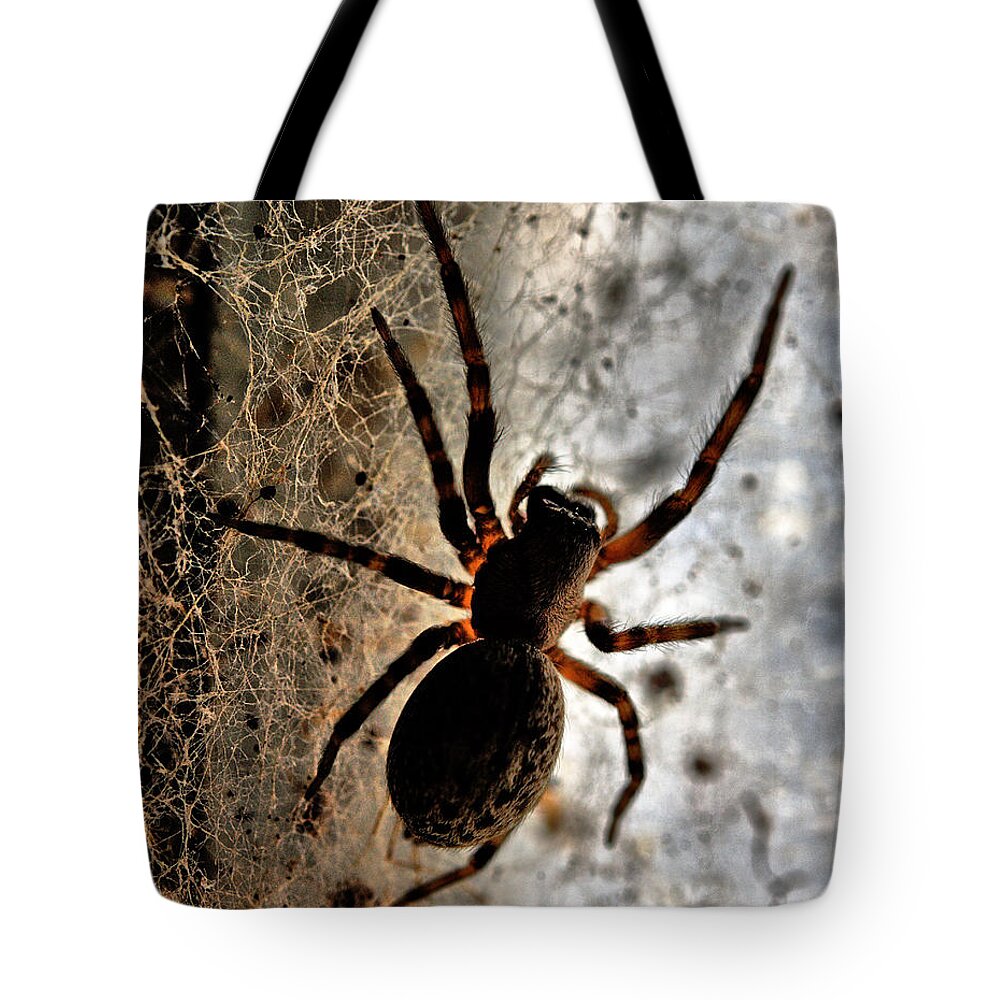Spider Tote Bag featuring the photograph Spiders Home by Chriss Pagani