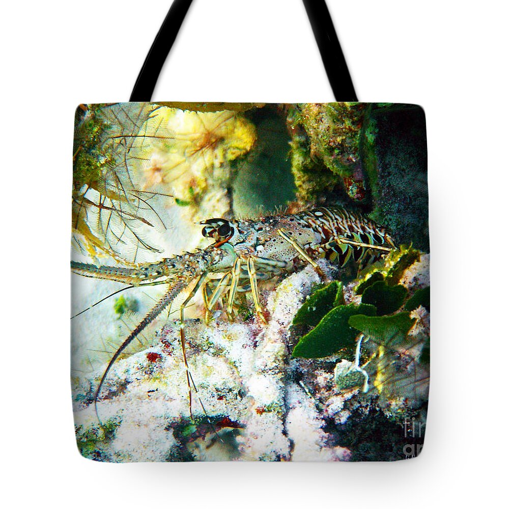 Lobster Tote Bag featuring the photograph Spiny by Li Newton