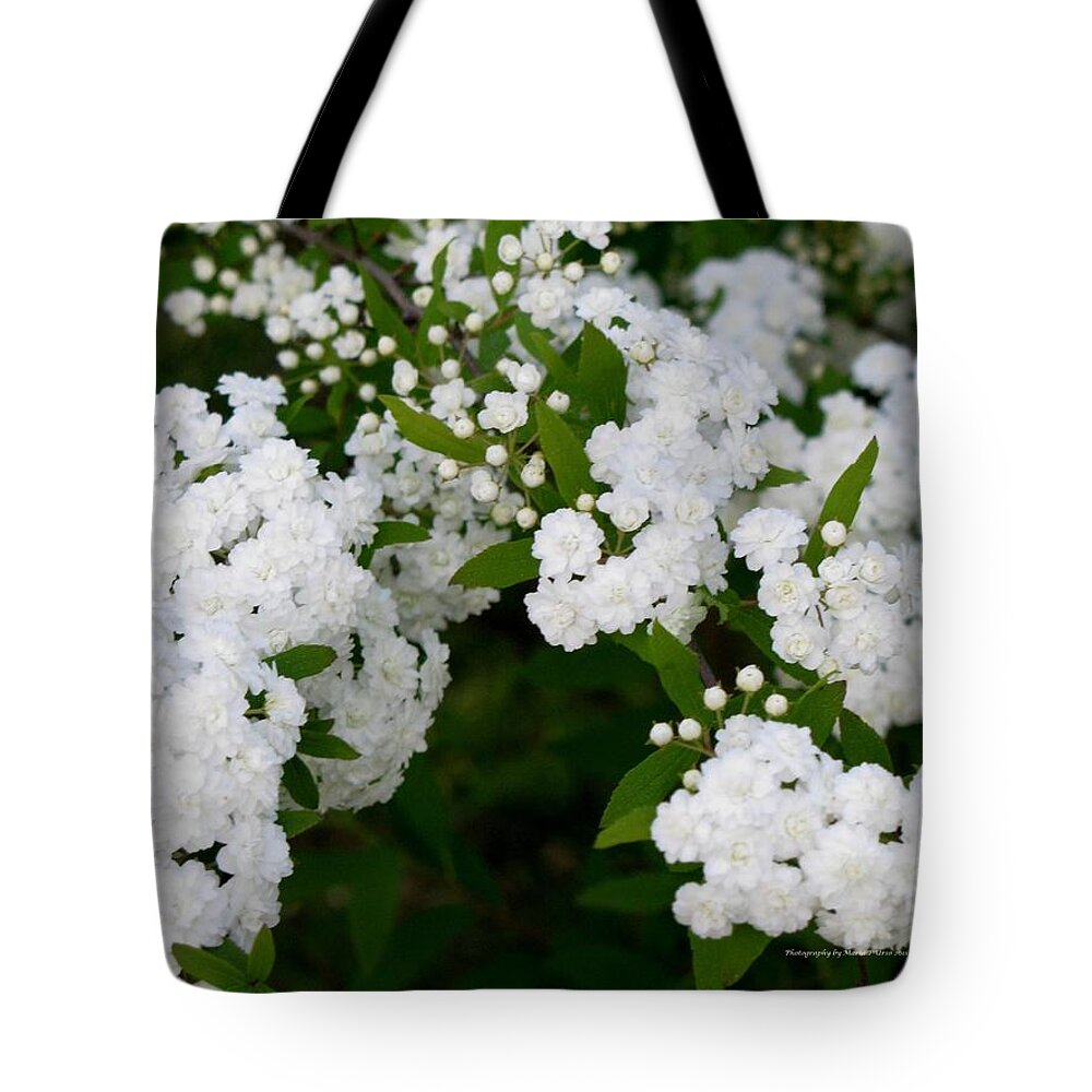 Flowers Tote Bag featuring the photograph Spirea Blooms by Maria Urso
