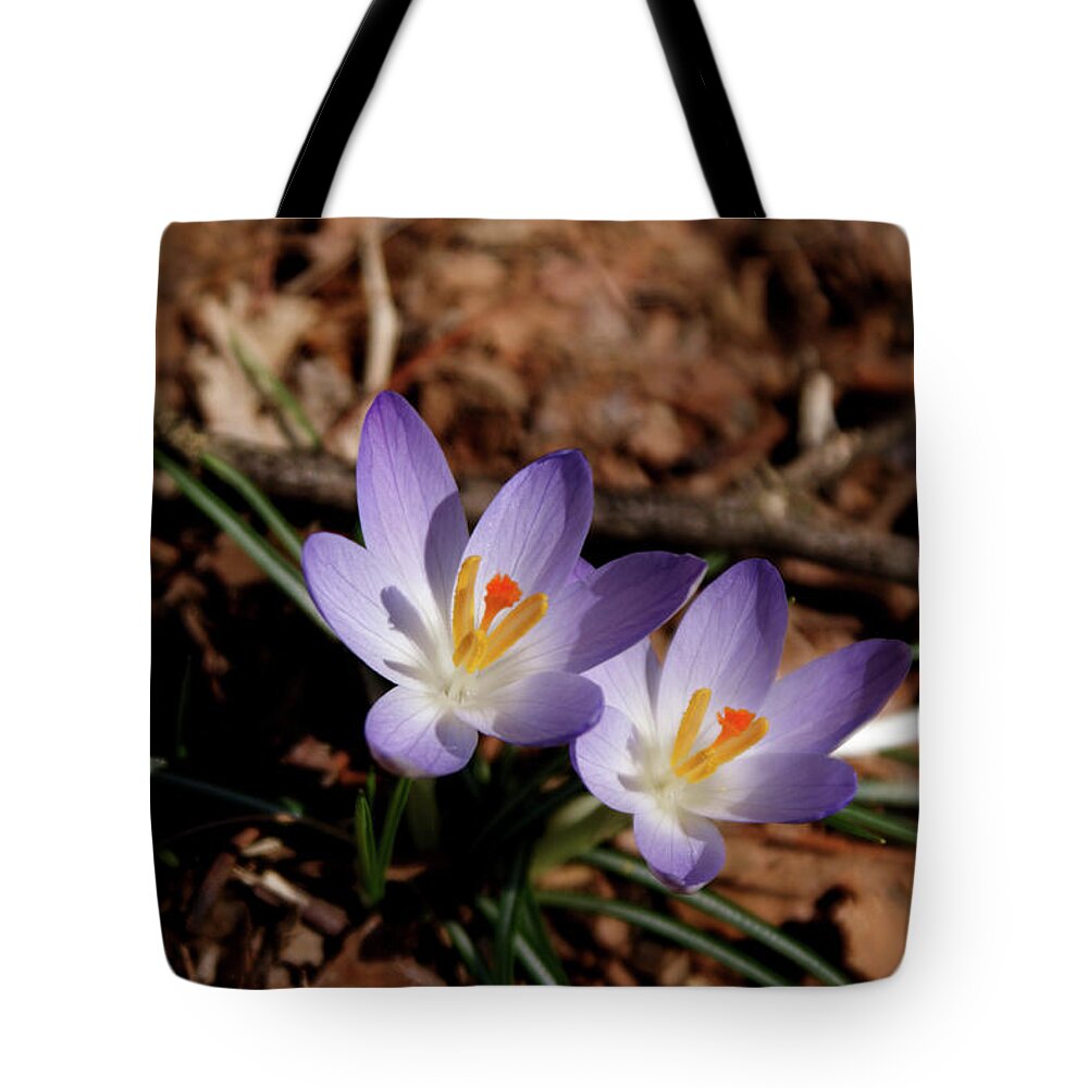 Wildflowers Tote Bag featuring the photograph Spring Crocus by Paul Mashburn