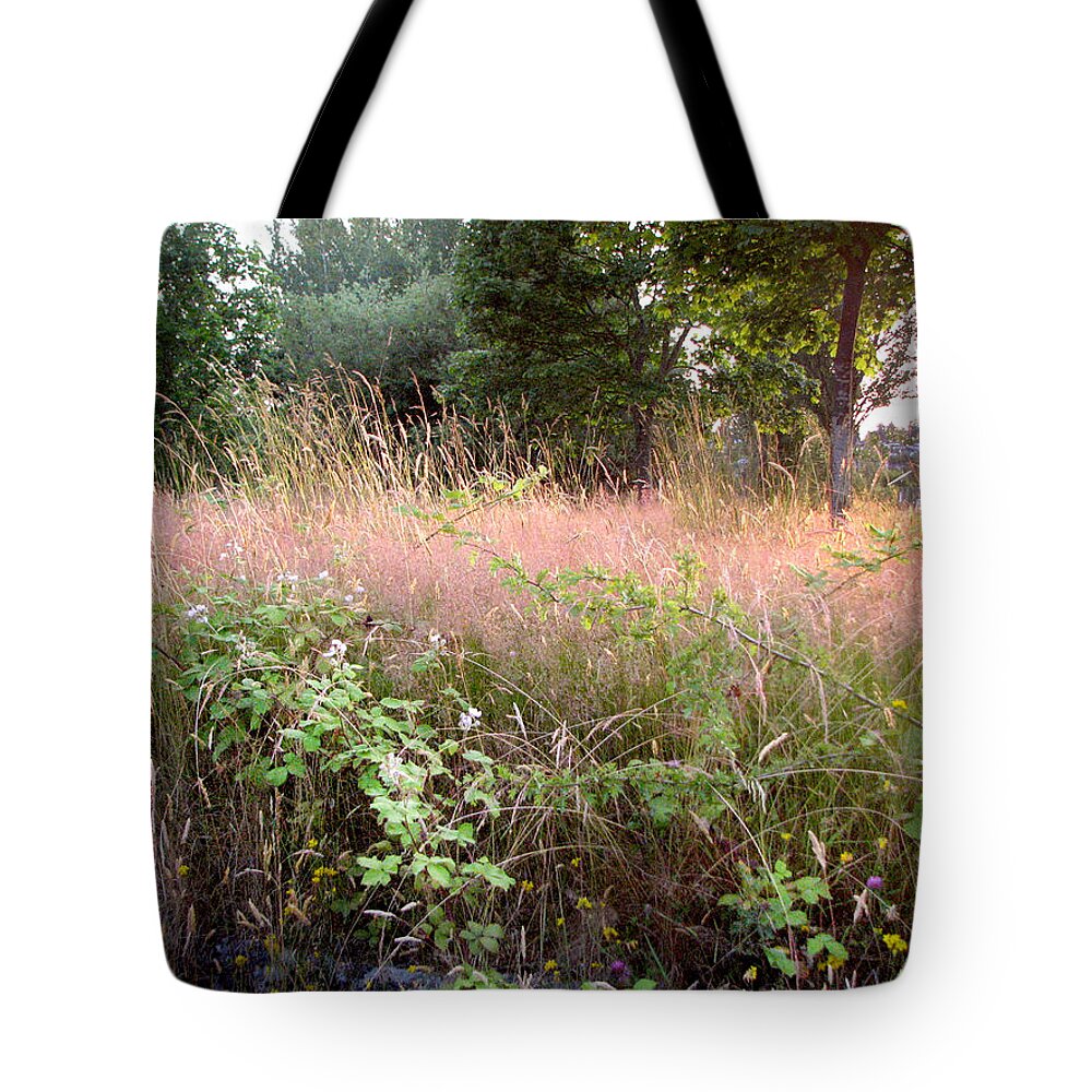 Landscape Tote Bag featuring the photograph Spring Field by Kathleen Grace