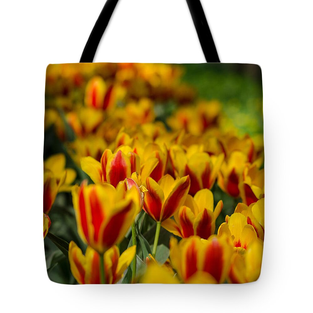 Spring Tote Bag featuring the photograph Spring mood by Michael Goyberg