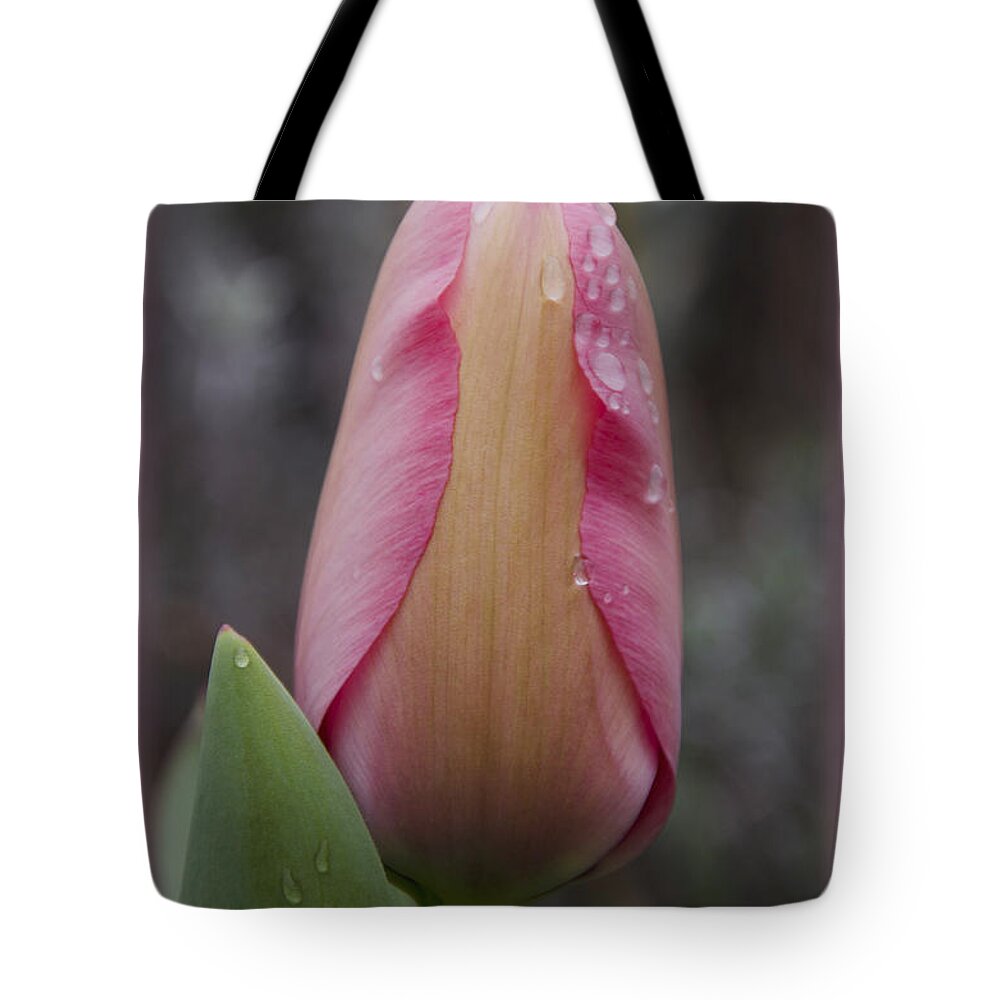 Pink Tote Bag featuring the photograph Spring Rain 2 by Jim And Emily Bush
