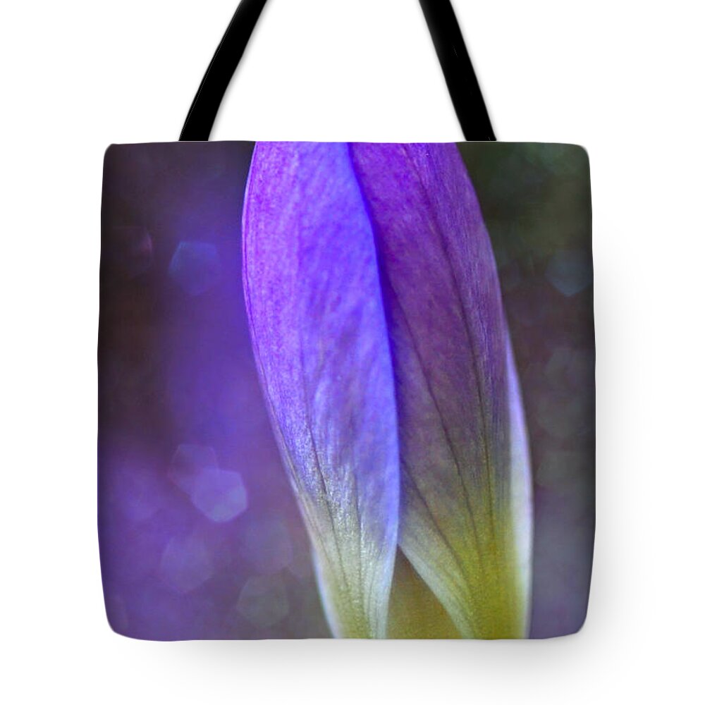 Season Tote Bag featuring the photograph Spring Renewel by Elaine Manley