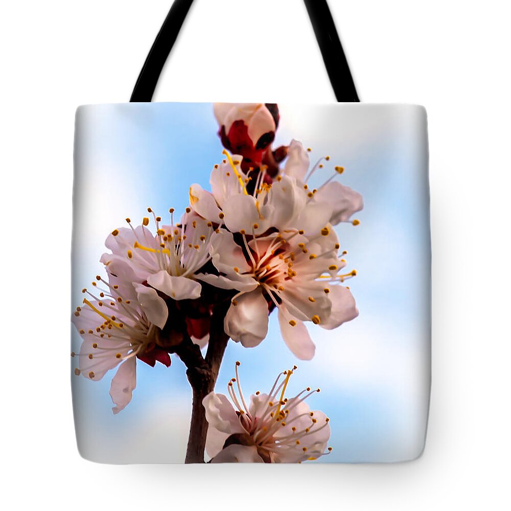 Flowers Tote Bag featuring the photograph Spring Time by Robert Bales