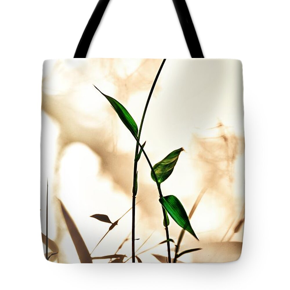 Bamboo Tote Bag featuring the photograph Springtime Zen 1 by Mark Fuller