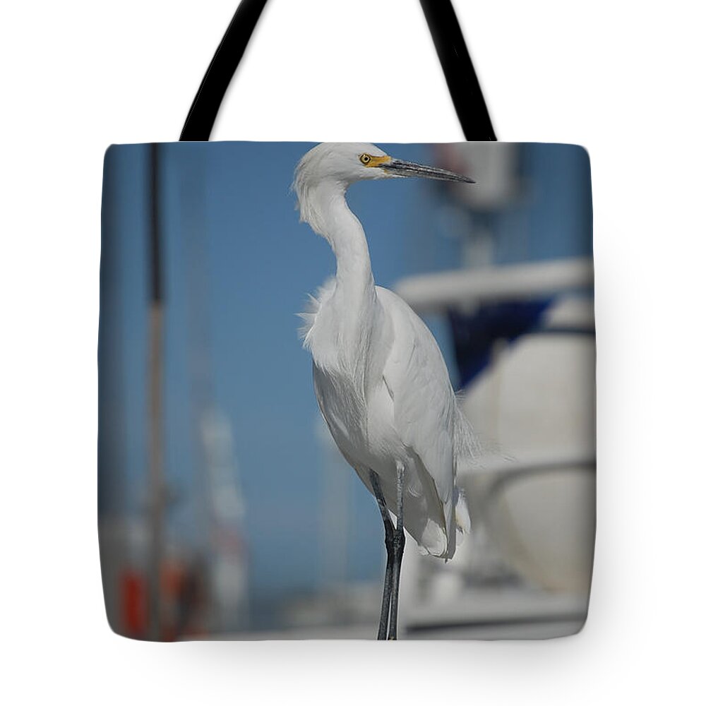 Great White Egret Tote Bag featuring the photograph Standing Tall by Susan Stevens Crosby