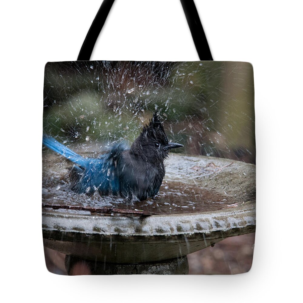 Animals Tote Bag featuring the digital art Stellar Jay in the Birdbath by Carol Ailles