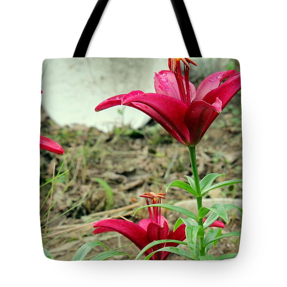 Step Child Tote Bag featuring the photograph Step Child by Edward Smith