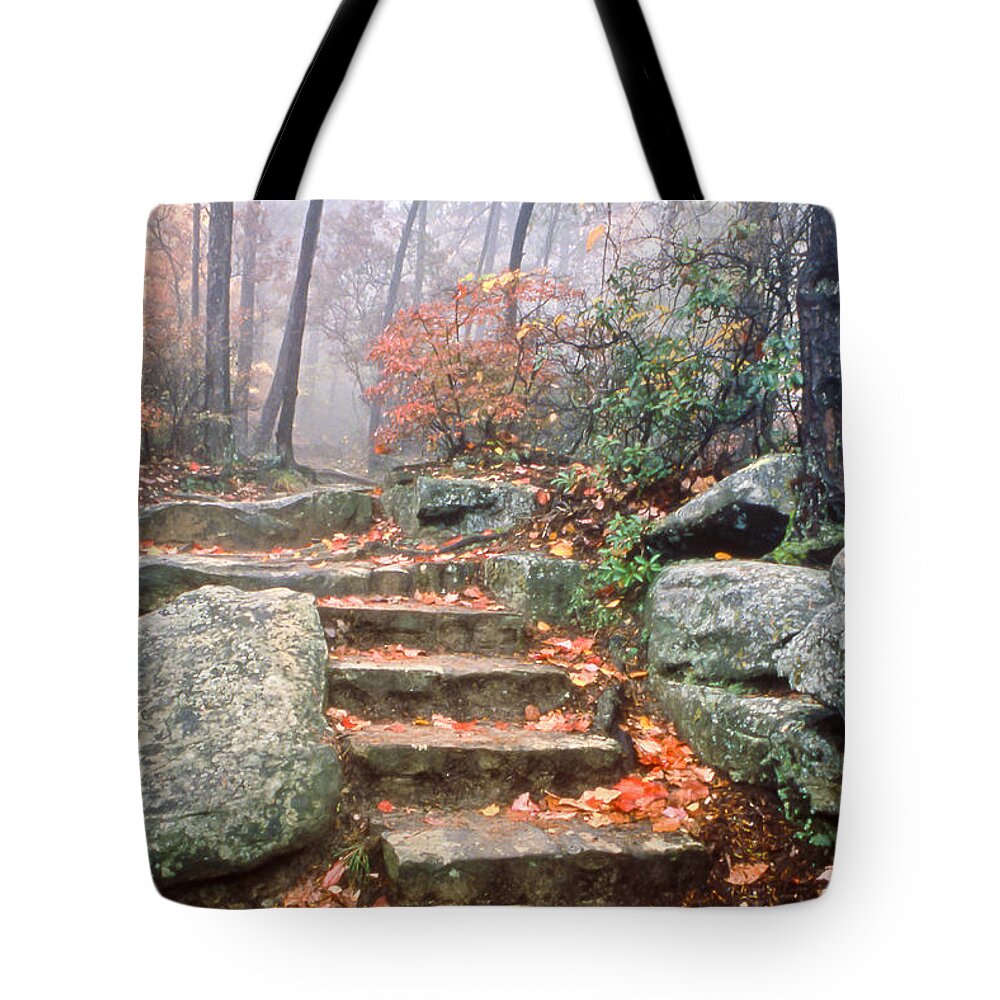 Steps Tote Bag featuring the photograph Steps Cloudland Canyon by Tom and Pat Cory